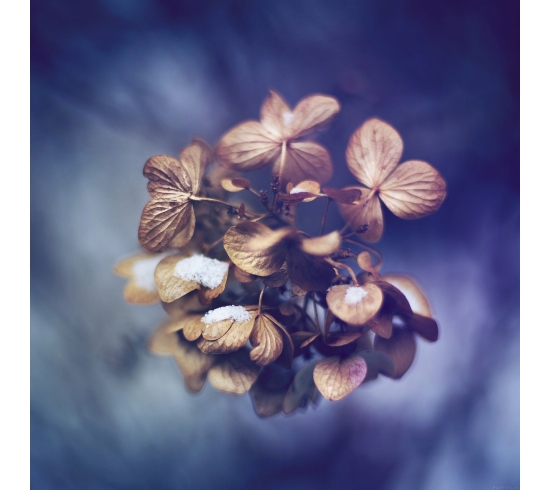 Quá tuyệt vời luôn