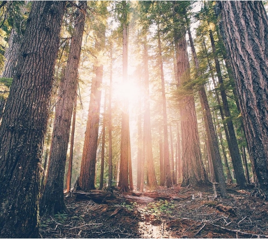 Sản phẩm rất tốt